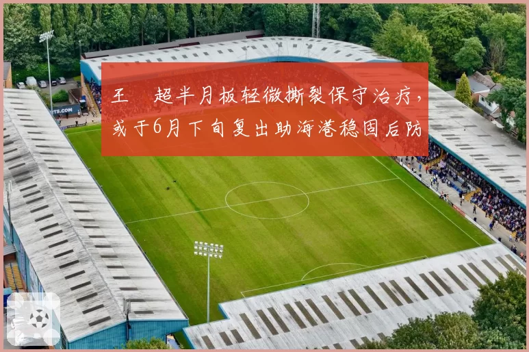 王燊超半月板轻微撕裂保守治疗,或于6月下旬复出助海港稳固后防